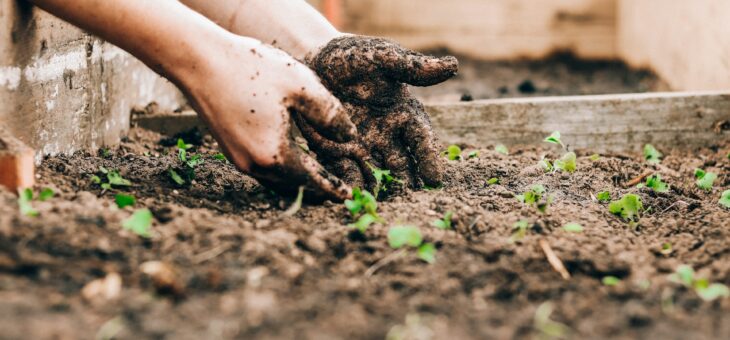 Aia rajamine algab läbimõeldud algusest ja turvalisest keskkonnast